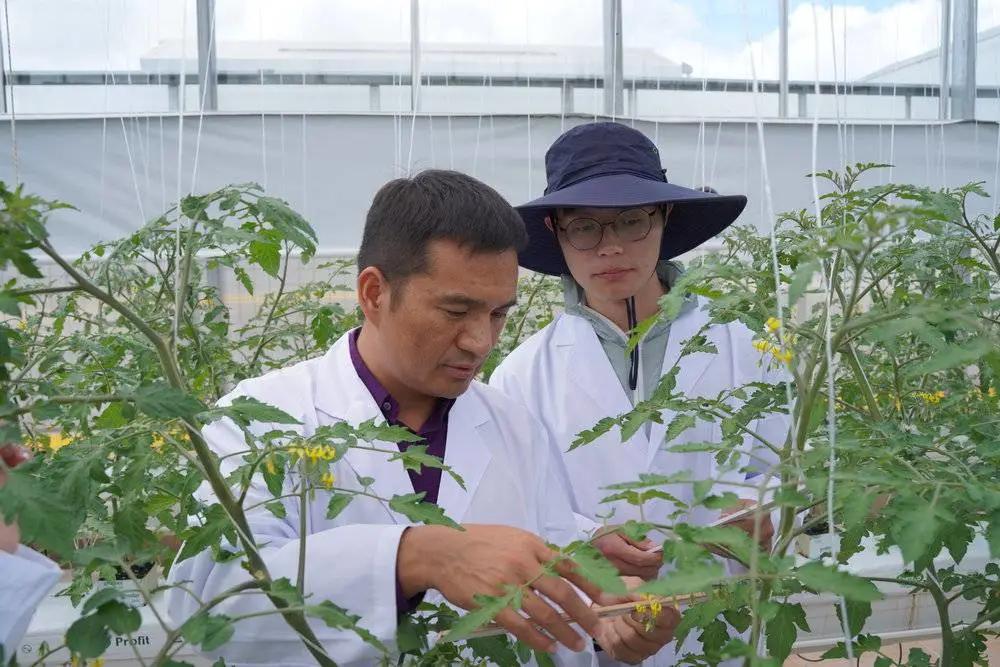 拼多多重技术轻营销转型_拼多多运营培训_拼多多Q3财报研发投入增长