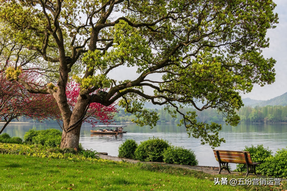 网络营销零基础培训收费_五纷教育一对一实操培训_网络营销培训