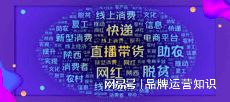 提升商家线上影响力策略_大众点评代运营_大众点评代运营服务
